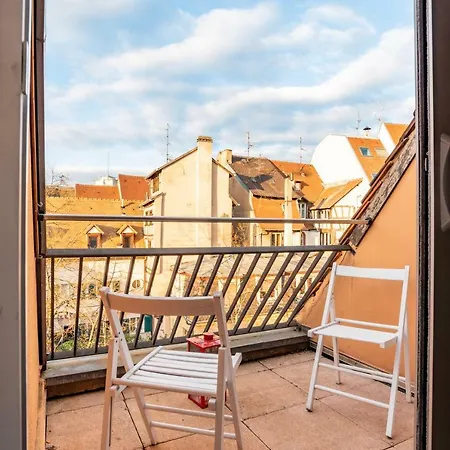 Citycosy - Bird Nest Meuniers Strasbourg
