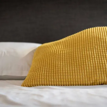 Citycosy - Bird Nest Meuniers *